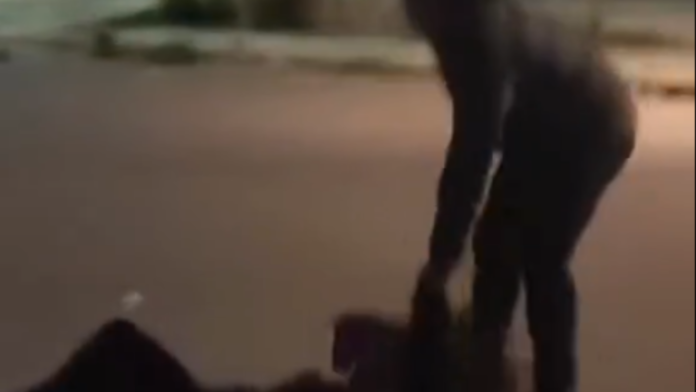 Fondo de Pantalla Wallpaper Escritorio Collage Fotografías Aesthetic Minimalista Pastel (1)