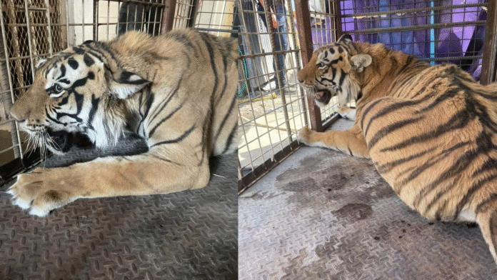 PORTADAS Parte 2 (17)