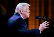 Trump elogia a Sheinbaum tras llamada “productiva” con México