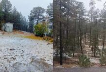 Continúa alerta preventiva por pronóstico de nieve y bajas temperaturas en Chihuahua