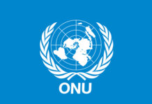 Desapariciones en México: ONU lanza fuerte advertencia