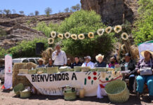 Lleva SPyCI apoyos productivos y alimentarios a comunidades de Guerrero